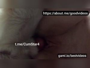 Go beyond Conventions, Discover Dog Creampie Obsession