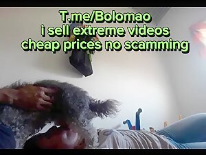 Domination and humiliation in an extreme bestiality video