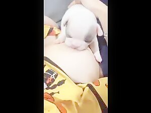 Bestiality Sex Video - Woman and Dog
