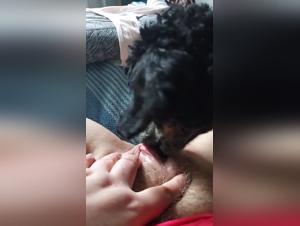 Pure raw enjoyment, canine eroticism without limits