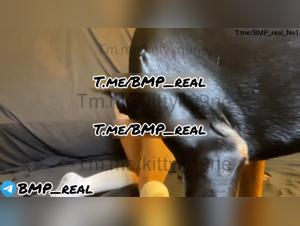 Bestial Double Penetration: The Dog Fucks the Slut in Kittykn9ne 2