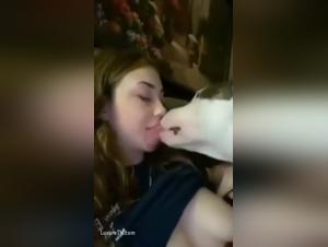 Zoophilic delights: explore the prohibited pleasure