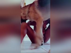 Indian Passion, Pure Bestiality