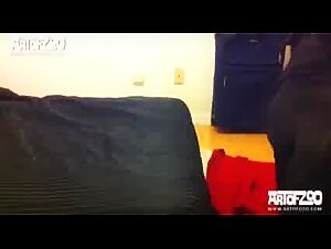 Mira este cono de puta para gatos en bragas y un perro en el trabajo