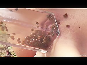 Bestiality Video: An Intense and Exciting Experience