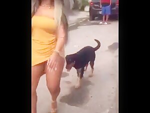 Zoophilic practices: a woman and her dog in sexual lovemaking