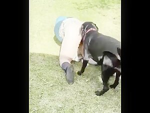 Extreme dog sex video