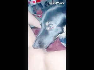 Bestiality sex: a woman lets herself be dominated by a dog