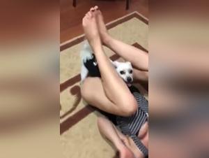 Sklavin der Instinkte: Wild Fuck und Katzen Ekstase
