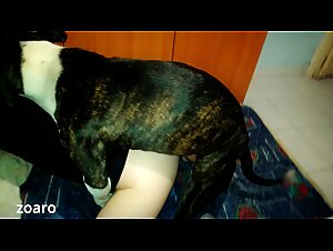 When the dog takes over, the sensations are incredible.