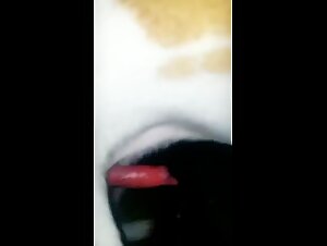 Dog sex is a passionate act that reveals a woman's desires. The duo indulges in a little Latina pussy who loves adventure and the pleasures of sex