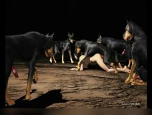 L'Enfer Fecaille: Amateur Doggy Fuck in HD Video