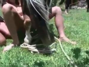 Double Animal Penetration Hardcore