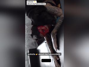 Dog Smashes Woman - Lack of Resistance