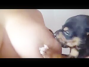 Bestiality and extreme: a shocking video