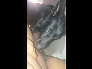 Discover the world of bestiality and sex with animals
