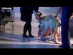 Videos de Sexo con Perros - Bestialidad Extrema