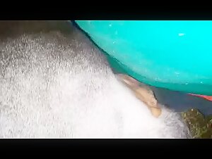 A shocking but exciting story of zoophilia