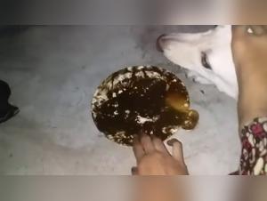 Canine Domination, Exotic Feet: Hell Unleashed