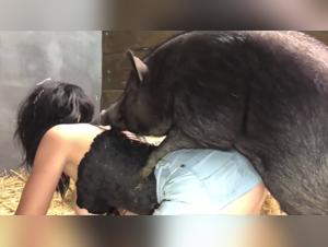 A Kiss on the Mouth with Denise Frazier's Dog: The Show is a Must-See