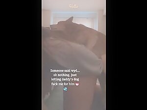 Amateur bestiality video: a unique experience of its kind
