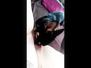 Watch this Dog Expert in Cunnilingus