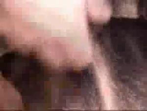 Canine incest, a guilty delight for weary hearts