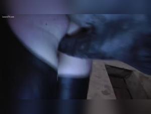raw power and feline submission