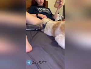 adolescent bestiality, prohibited and wild love