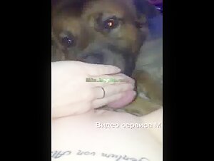 Dog sex video: woman reaches ecstasy with dog cunnilingus