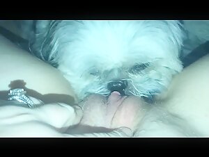 Live a Unique Sexual Experience with our Bestiality Video