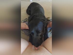 Teenie-Madchen lieben es, ihren Jungs einen Doggy-Blowjob zu geben