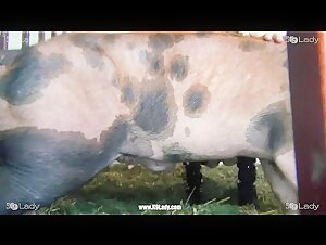 An exploration of zoophilia and bestiality