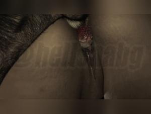 Canine Desire, Unconventional Encounters