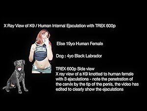 Video of Extreme Sex with a Dog