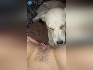 Animal delight, raw and prohibited sex