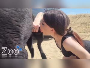 Wild Zoophilia in broad daylight