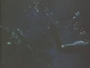 Vixen Amour Part 5 - Deep Throat, Explosive Cumshot, Wild Animals in Action