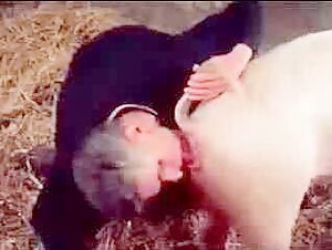 Escenas de sexo extremo con animales en nuestra coleccion.