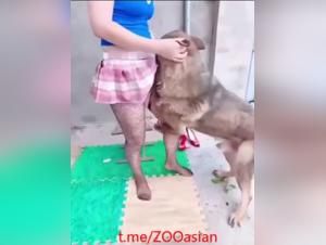 Animal Domination: When Desire Transcends Limits