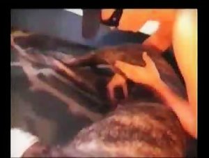 Sex with Dogs Videos: Discover ArtofZoo