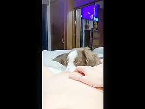 Extreme Bestiality Sex Video
