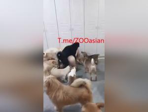 Sursis de Désir : Quand la Femme Se Rend à son Chien