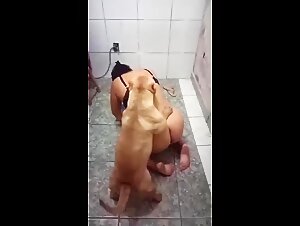 Slut and her dog's saliva fuck with Pitbull