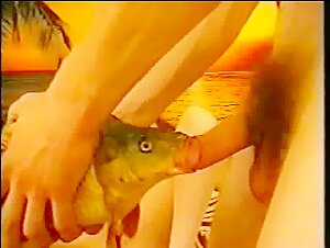 Bestial and extreme zoophilia video