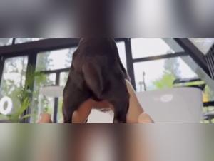 Wild crowds, animal impulses, unforgettable Xxx experiences.