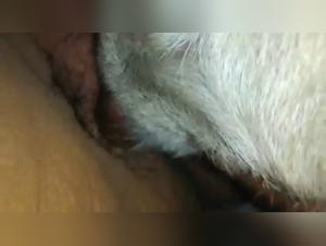 Sesso Indomitables: Women with Deep Impulses and Animalistic Sex Acts