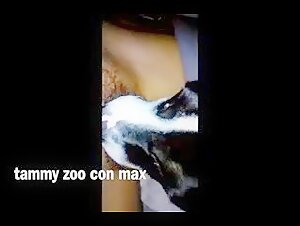 Hard and extreme sex scene with dog