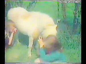 Videos de sexo con caballos y otros animales