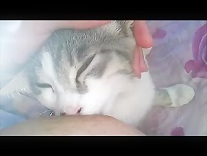 Sehen Sie, wie diese Frau sich auf aufregende Weise um ihren Welpen kummert